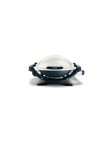 Weber Q 100