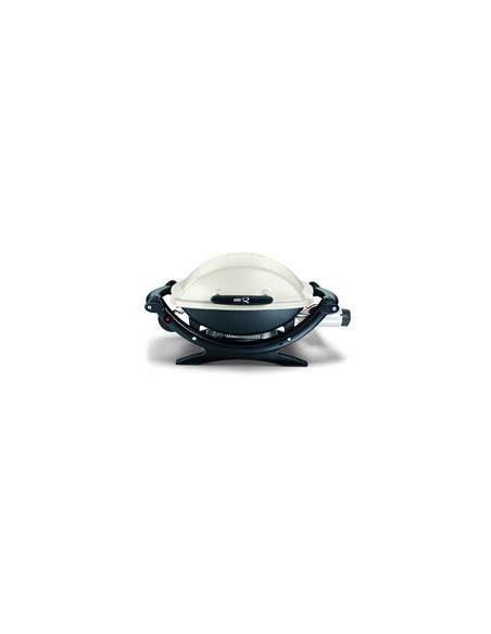 Weber Q 100